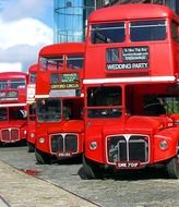 red buses in the parking lot