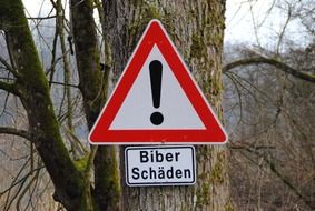 road sign biber schaden
