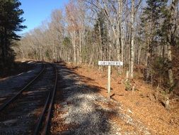 railway in the autumn forest on a sunny day