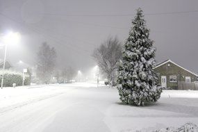 winter snow-covered street landscape