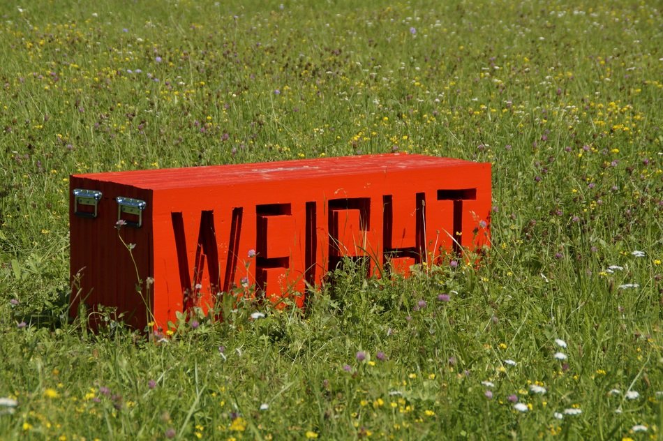 box with the word 'weight' in the meadow