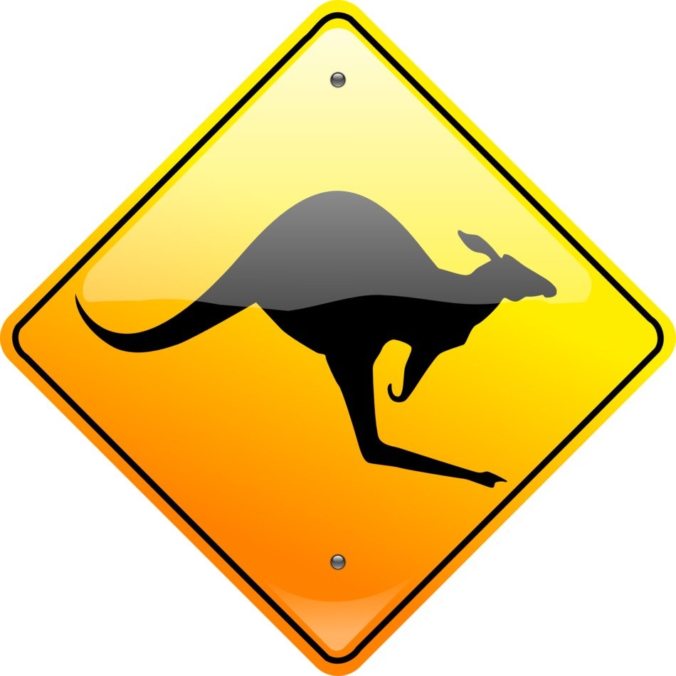 kangaroo warning sign