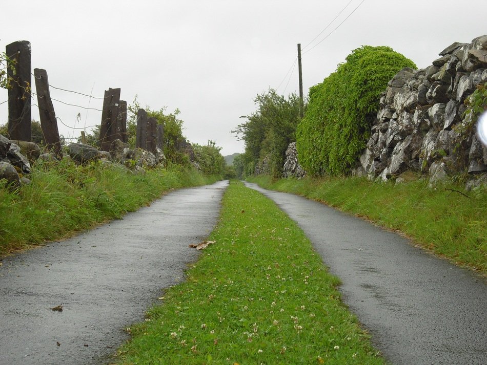 path along aged wild stone wall at summer, uk, wales