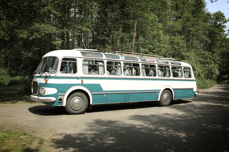 vintage bus stands near the trees