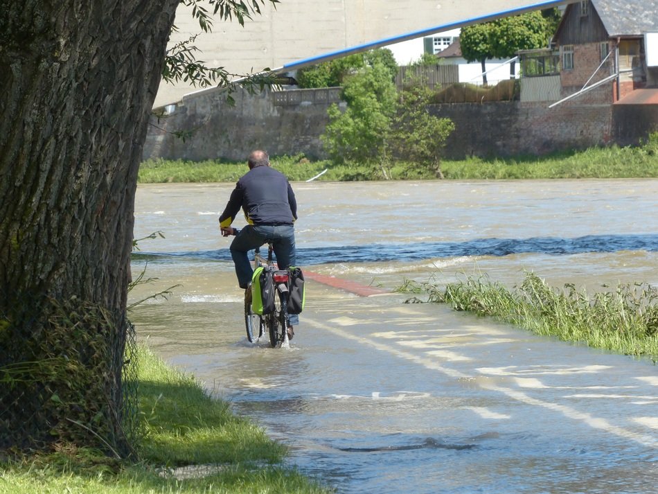 cyclist on the Danube embankment with colorful plants in the countryside