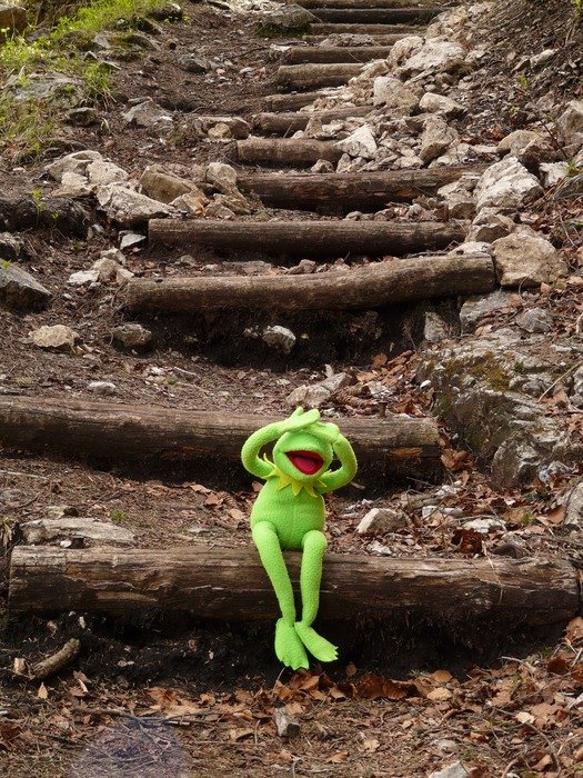 toy frog sitting on the stairs