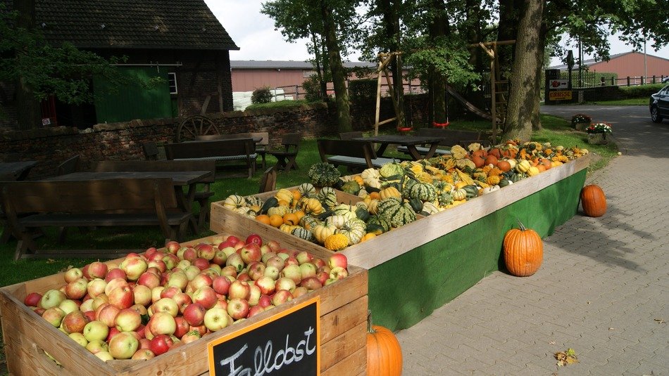 fruit boxes on the market