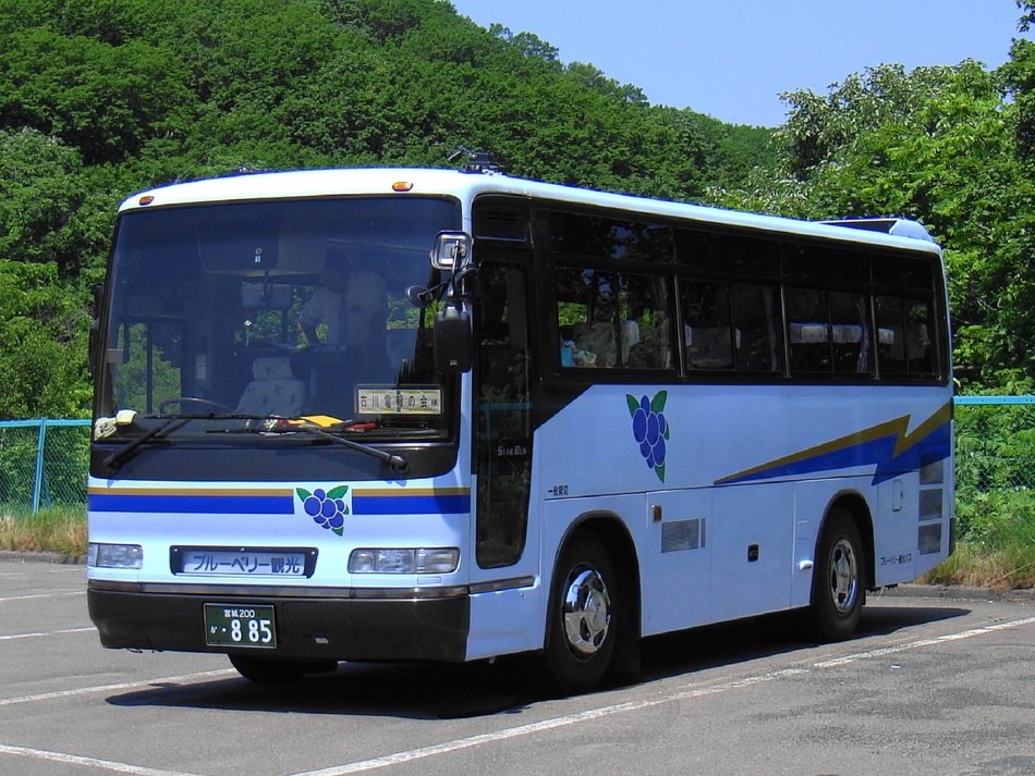 Blue bus on the parking lot among the plants
