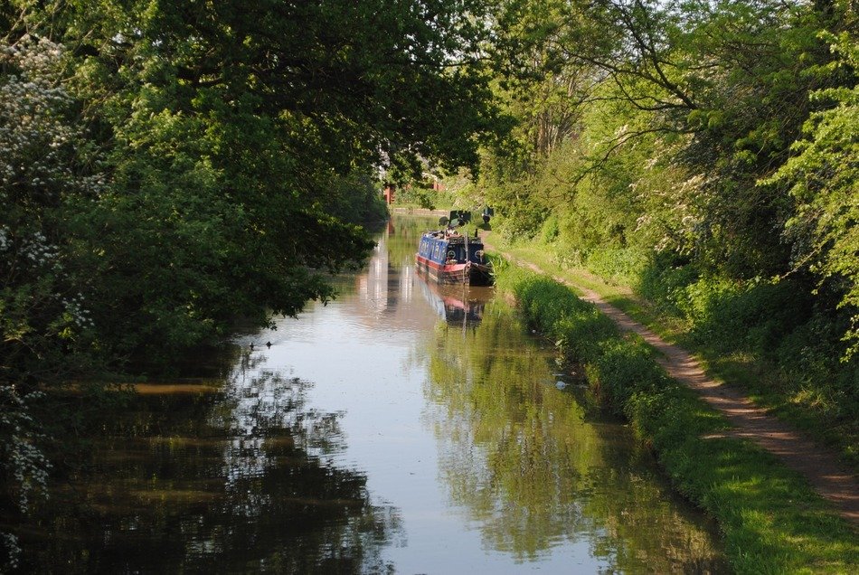 barge on the water channel among the trees