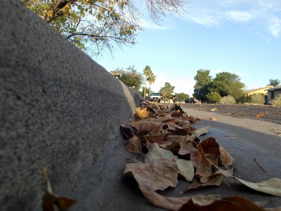 brown autumn foliage on the road close up