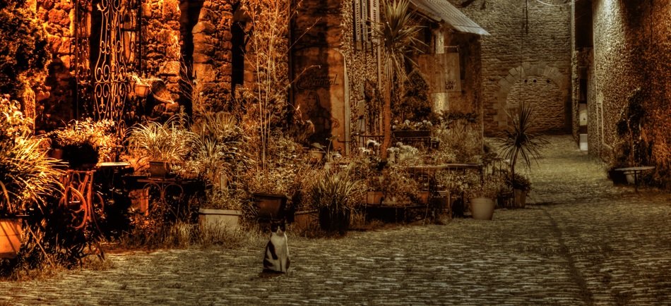picture of the street in Brittany