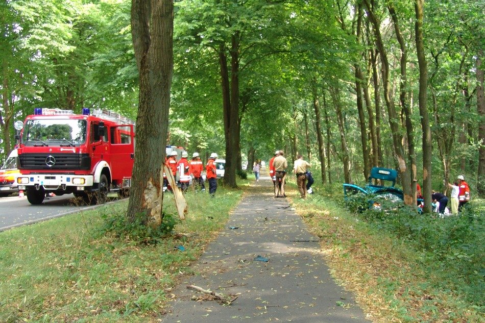 fire equipment in the forest