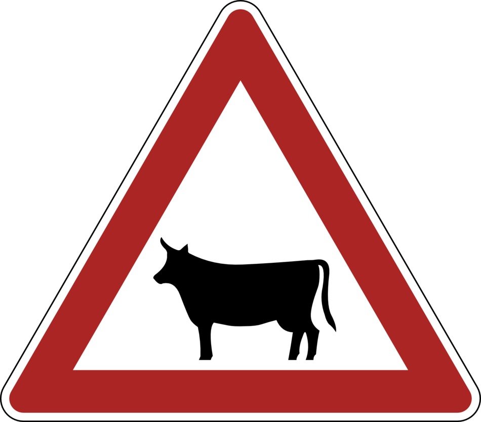 sign about animals on the road