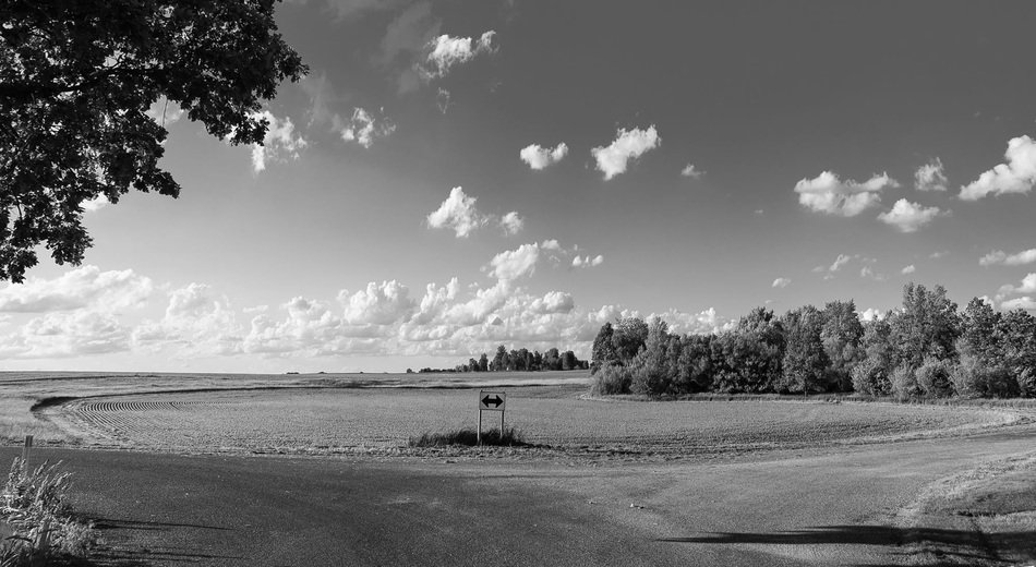 road through the field black and white photo