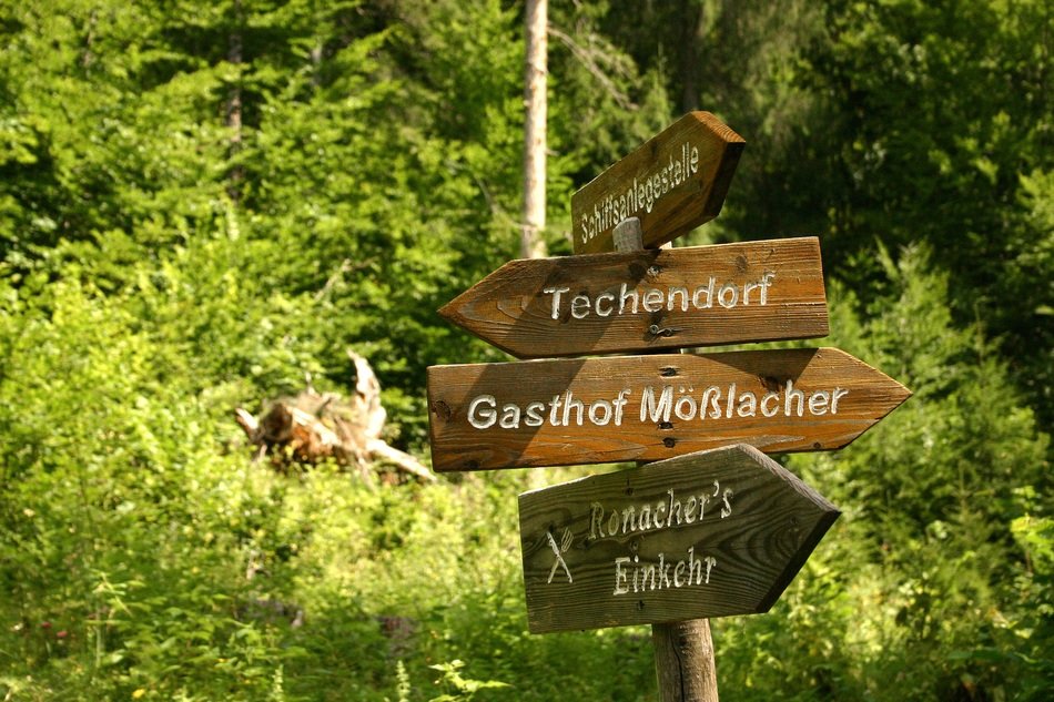 signs at the fork