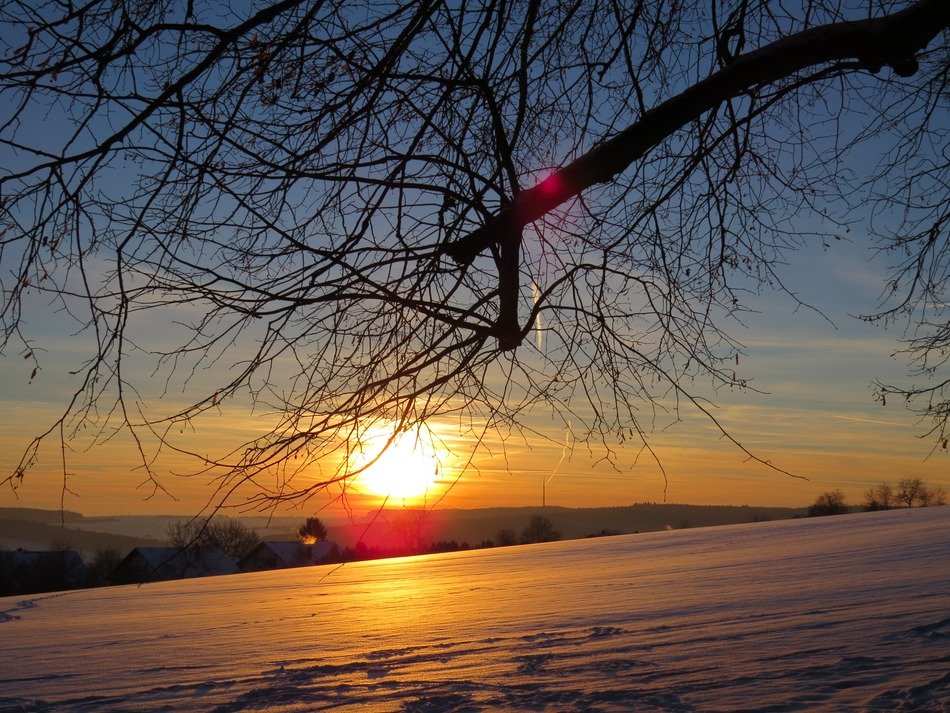 road under the tree branches in winter
