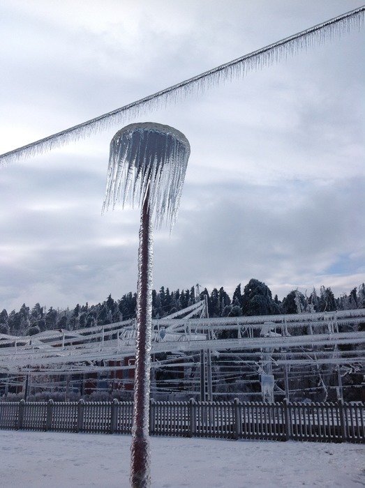 frozen lamp