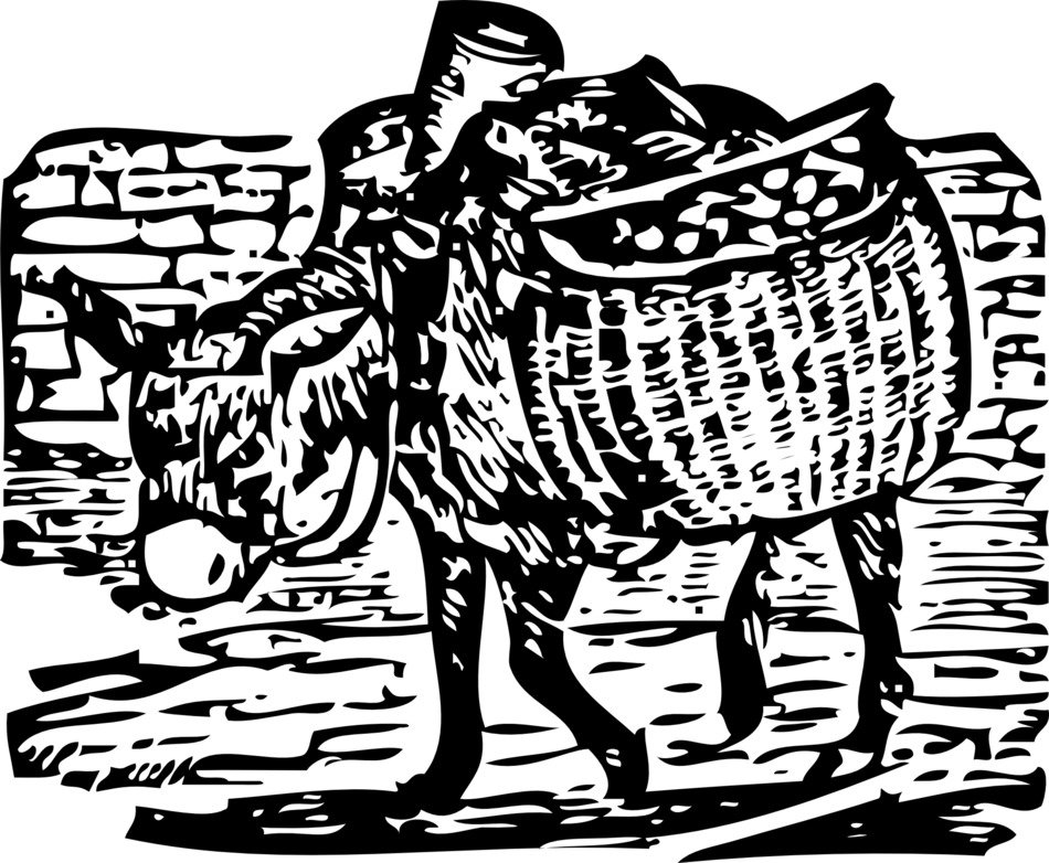 drawn donkey with bags