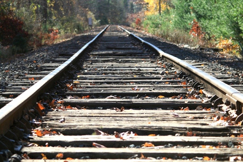 autumn foliage on the railroad tracks