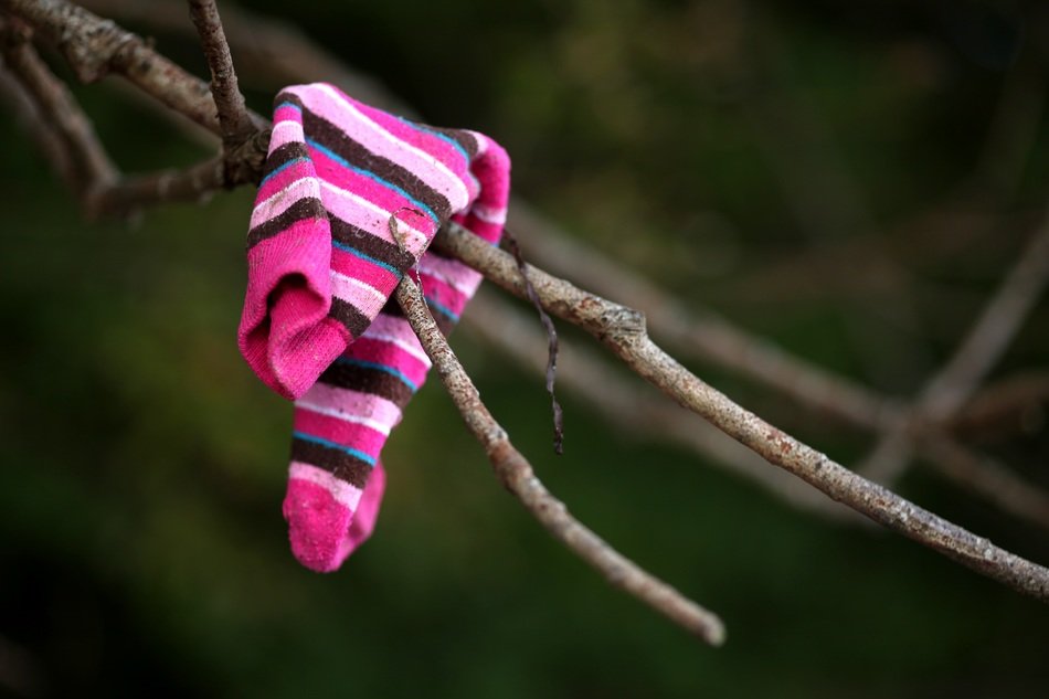 pink sock on the tree