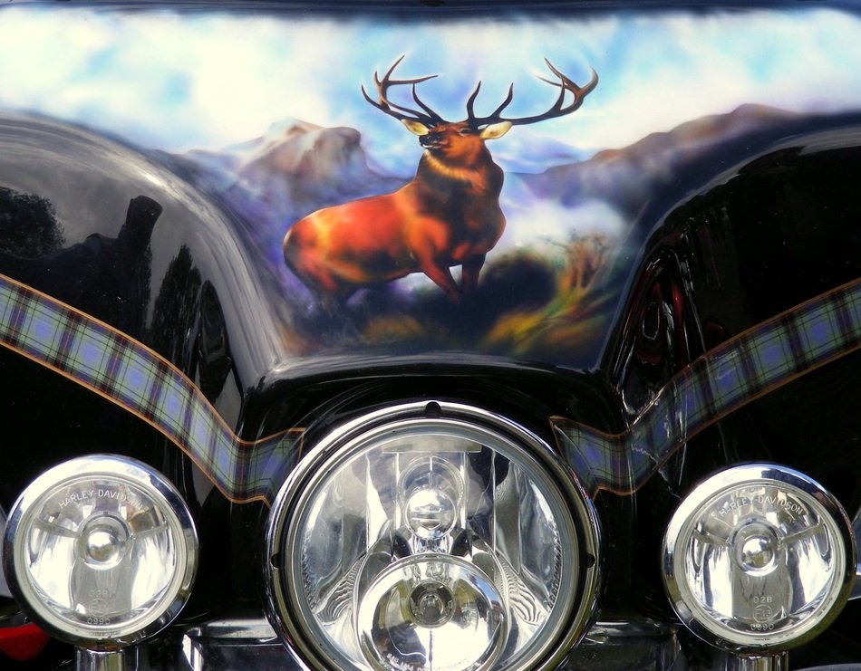 deer painting between motorcycle headlights