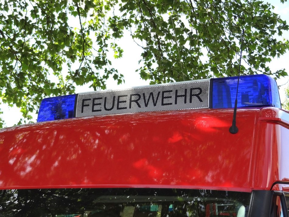 top of fire truck beneath tree