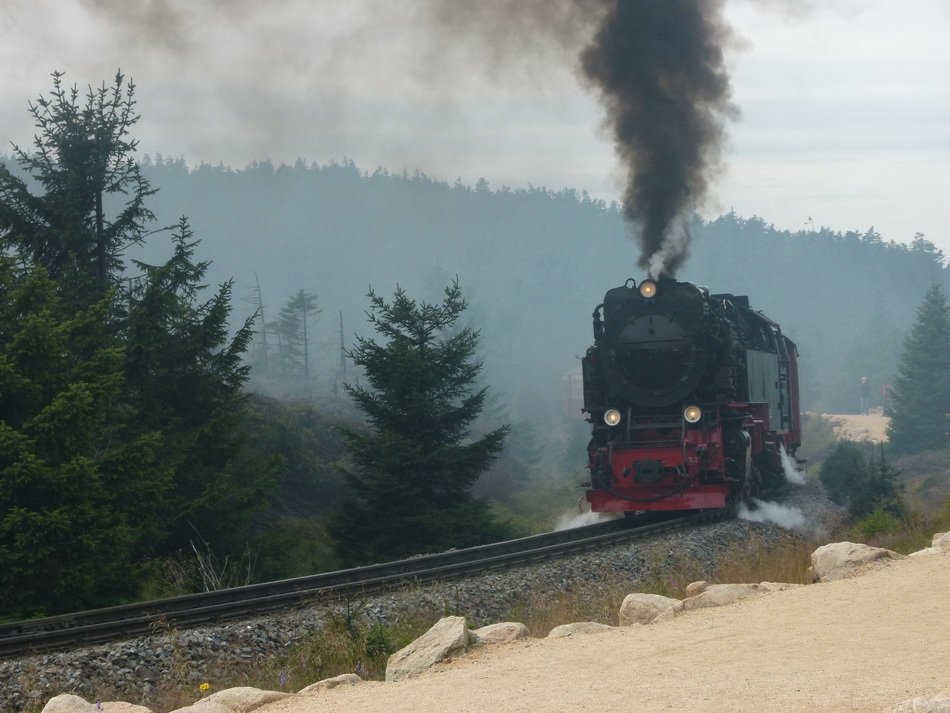 steam locomotive on the railway road near the trees