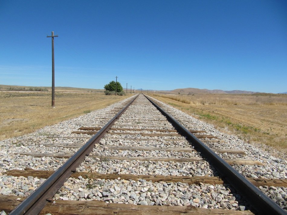 railroad tracks near the telephone pole