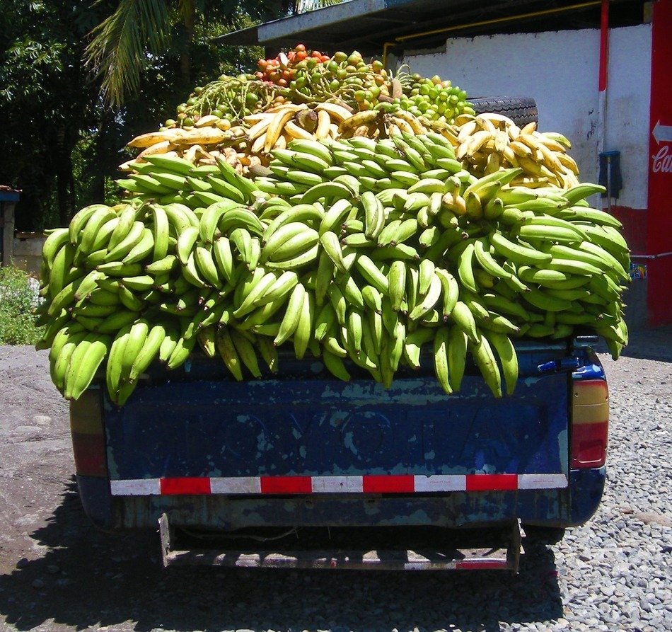 bananas in the back of a truck