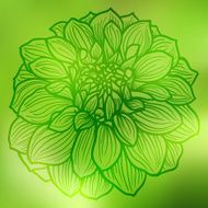 Abstract green background N87