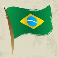 Brazilan Flag N2