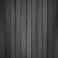 Vector wood plank N13