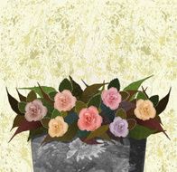 rose composition 1