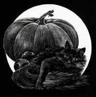 October Cat