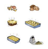 Potatoes and potato dishes (hand drawn)