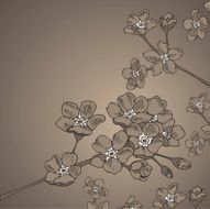 Vintage Forget-Me-Nots