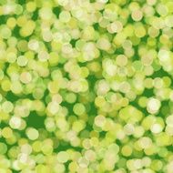 blurred dots on green background