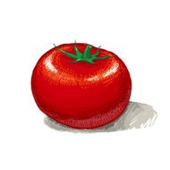 Tomato N14