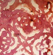 Brown and Red Pattern Background N4