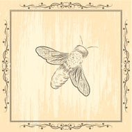 Sketchy Bee Drawing On Grunge Background