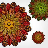 color abstract flower background