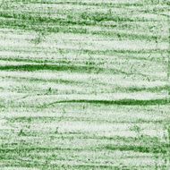 Green pastel background