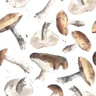 lovely autunm mushrooms 1