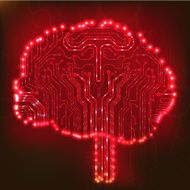Circuit board computer brain Vector illustration N20