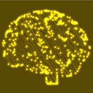 Circuit board computer brain Vector illustration N22