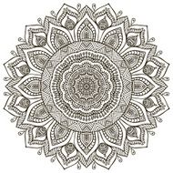 Mandala N489