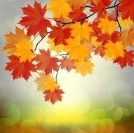 autumn leaves N146