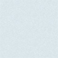 Paper texture background N20