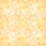 Floral abstract N53