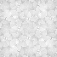 Floral abstract N55
